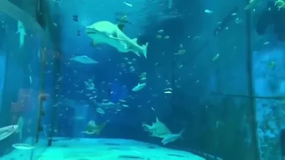 功夫快打